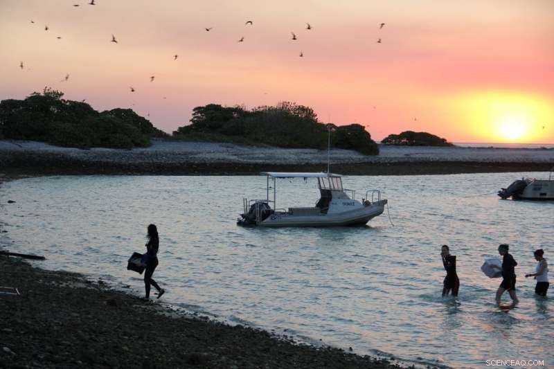 Gender Inequalities in Science: Why They Won t Self-Correct – It s Time to Act