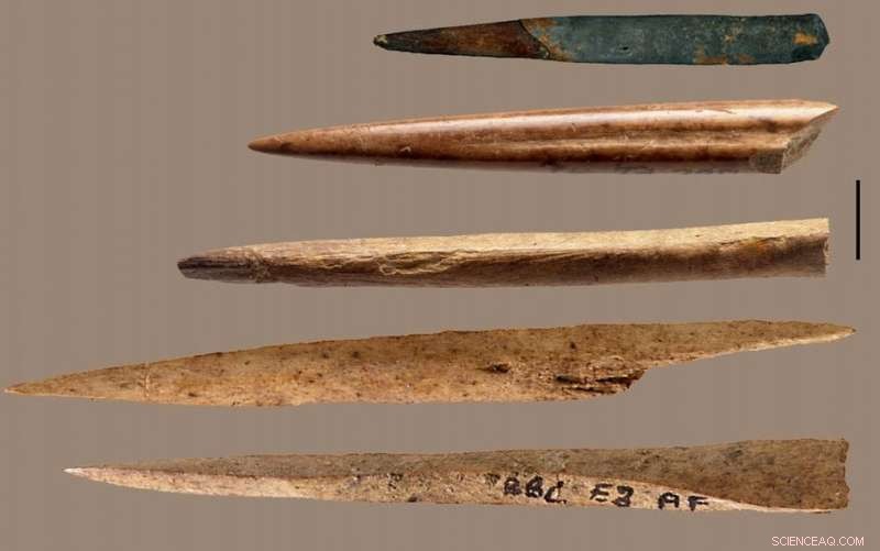 Advanced Tech Reveals Animal Bones Used in Ancient South African Stone Age Tools