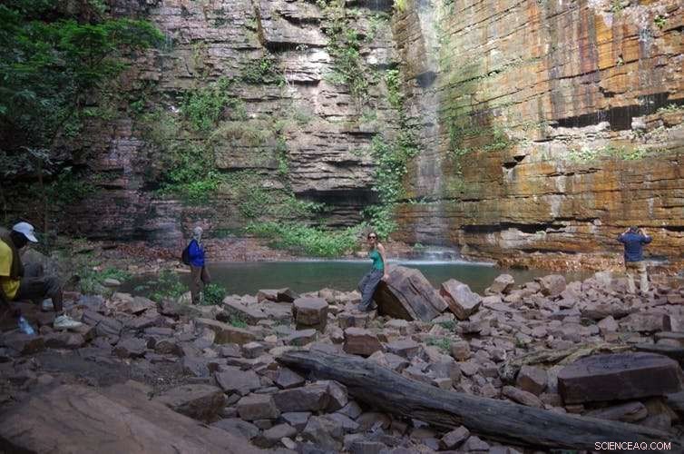 African Rainforests: Key to Unlocking Secrets of Early Human Ancestors