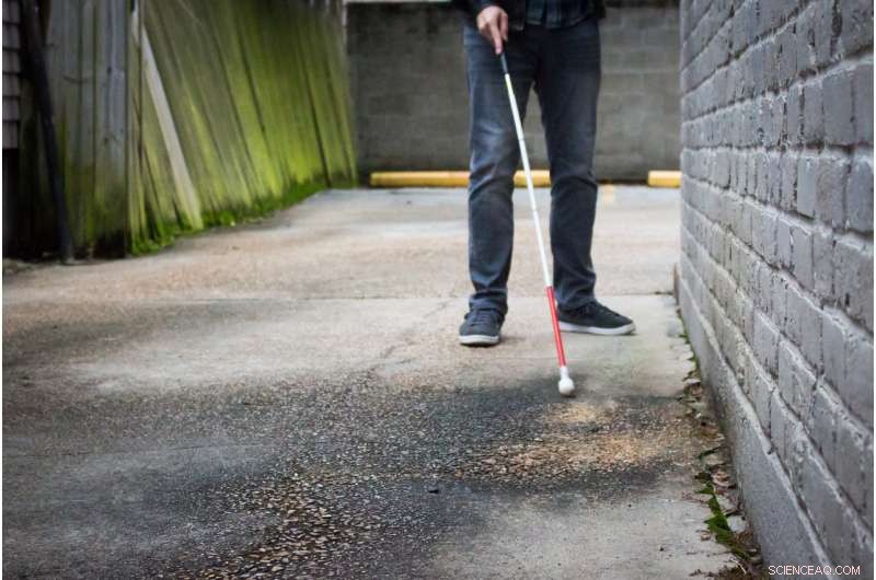 Disability Transportation: Conventional Taxis’ Red Zones Exacerbate Accessibility Gaps