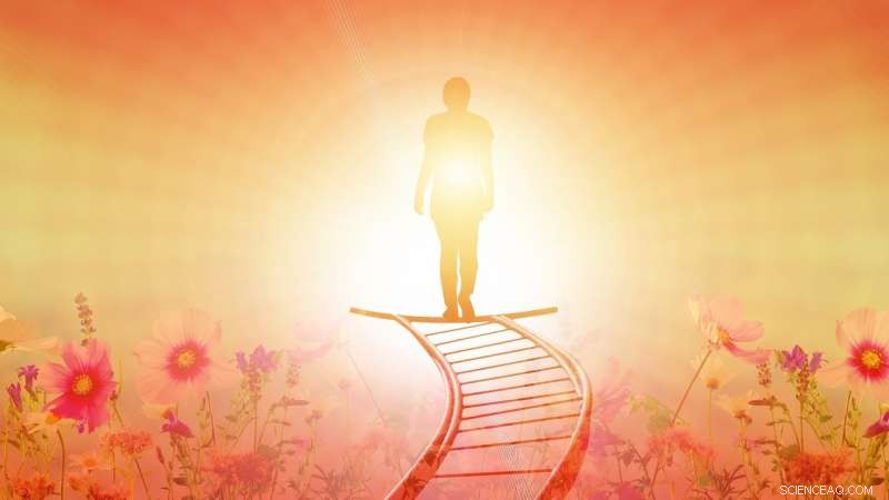 Hot Streaks in Creative Careers: How Patterns Drive Breakthrough Success