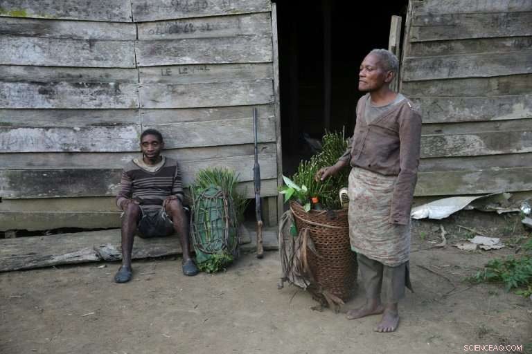 Baka Pygmies of Gabon: Guardians of the Forest Facing Modern Challenges