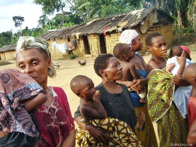 Baka Pygmies of Gabon: Guardians of the Forest Facing Modern Challenges