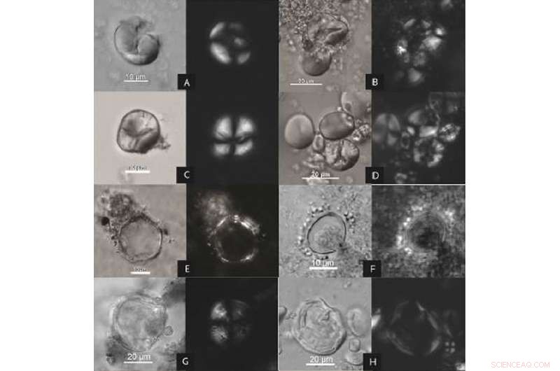 Archaeologists Discover Earliest Beer Production, Hinting at Brewing’s Role in Early Agriculture