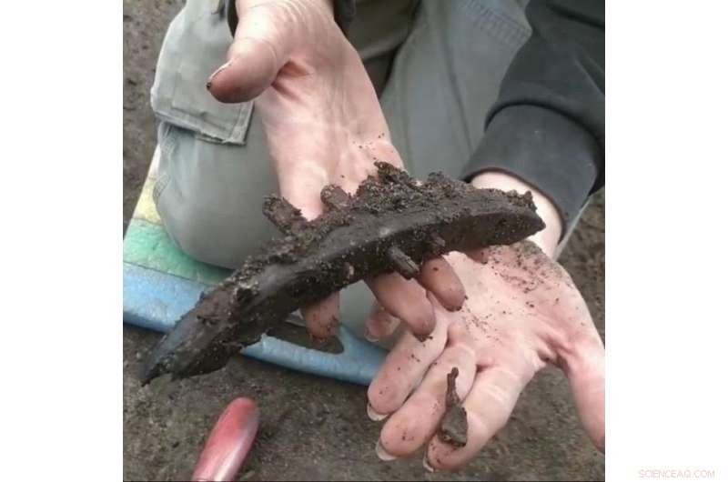 New Archaeological Finds: Thousands of Artefacts Unearthed in Scandinavia’s First Viking City