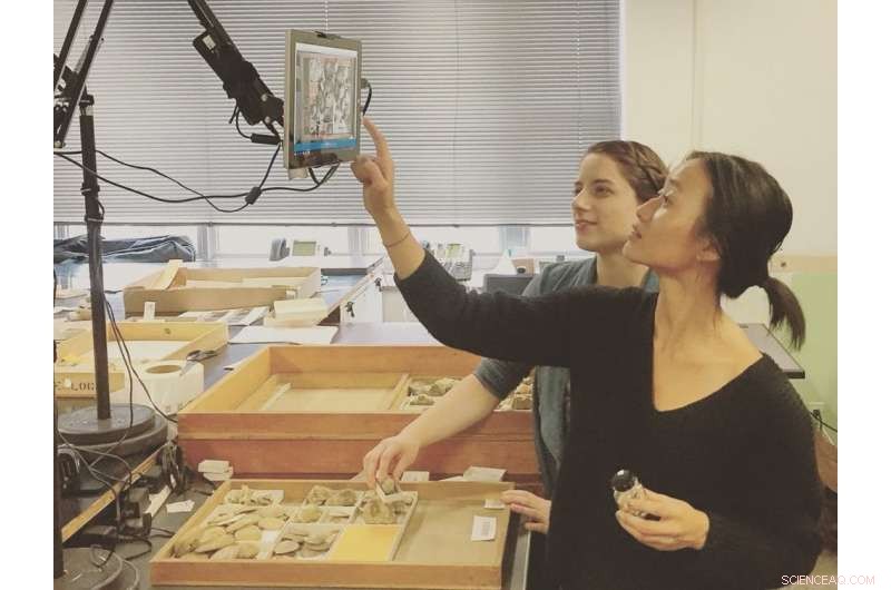 Transforming Museum Fossil Collections: Digitizing Hidden Dark Data for Global Research