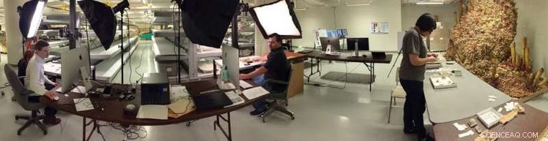 Transforming Museum Fossil Collections: Digitizing Hidden Dark Data for Global Research