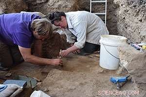 Human Energy Consumption Remains Synchronized Over 10,000 Years, Study Reveals