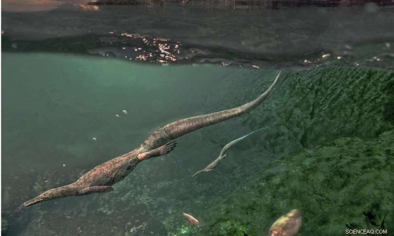 Study Reveals Ancient Mesosaurs, Oldest Aquatic Reptiles, Likely Spent Time on Land