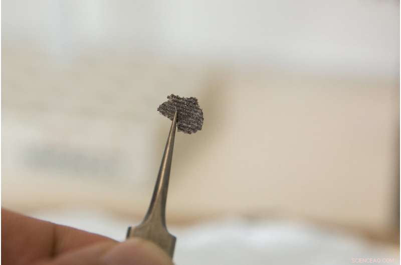 Ancient Fat Molecules in 558‑Million‑Year‑Old Fossil Reveal Earliest Confirmed Animal