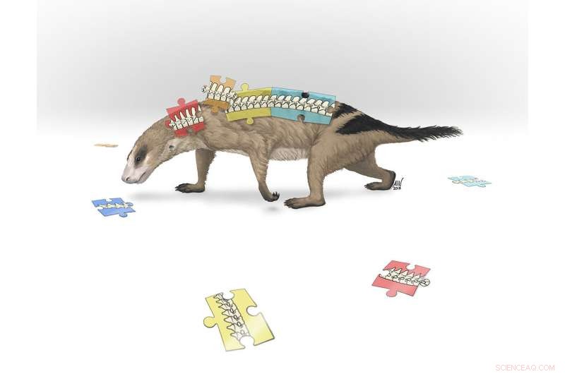 Scientists Reveal How the Spine Defines Mammals
