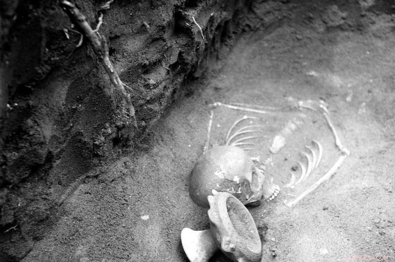 New Study Reassesses Violence in Pre‑Columbian Panama: Findings Suggest Overestimation