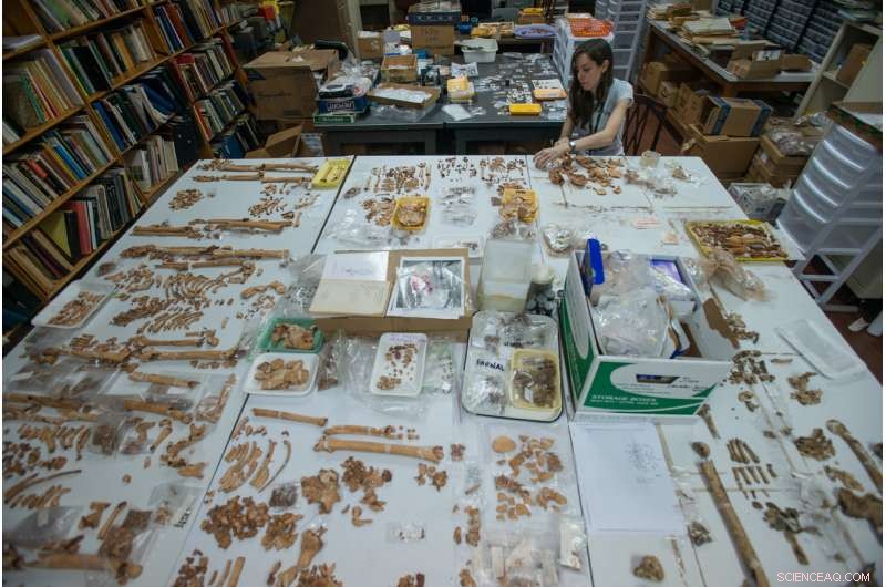 New Study Reassesses Violence in Pre‑Columbian Panama: Findings Suggest Overestimation