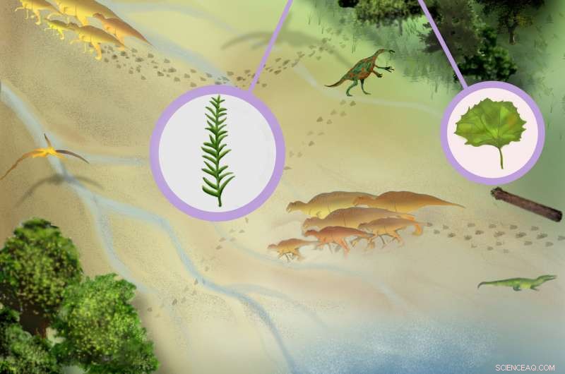 New Fossil Discovery Reveals Massive Flowering Trees Thrived in North America 15 Million Years Earlier