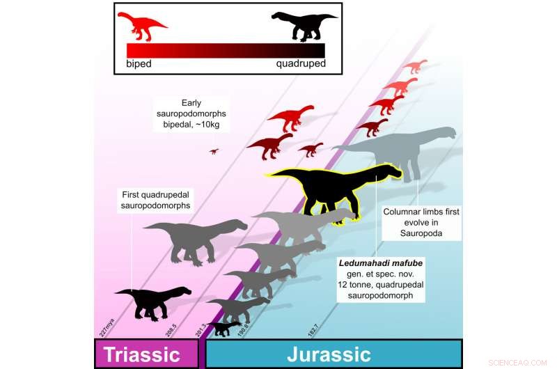 Ledumahadi mafube: South Africa s Newly Discovered Jurassic Giant