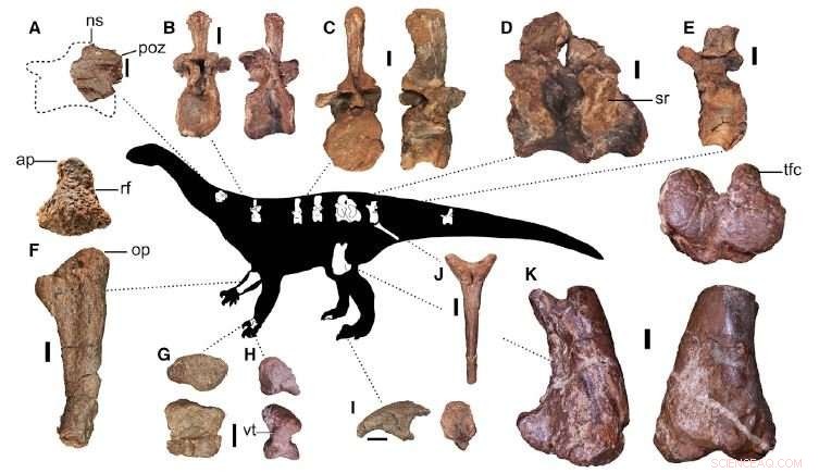 Ledumahadi mafube: South Africa s Newly Discovered Jurassic Giant