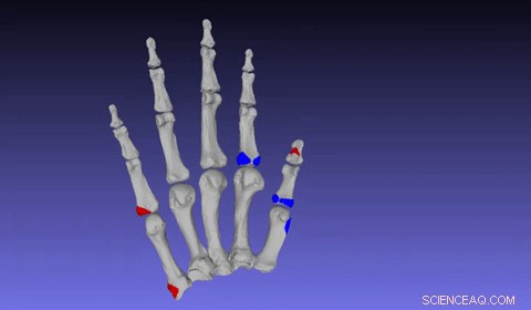 Research Finds Neanderthals Skilled Precision Workers, Challenging Brute Stereotypes