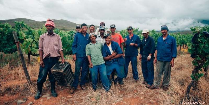 Beyond Pay: How Respect Drives South African Employment