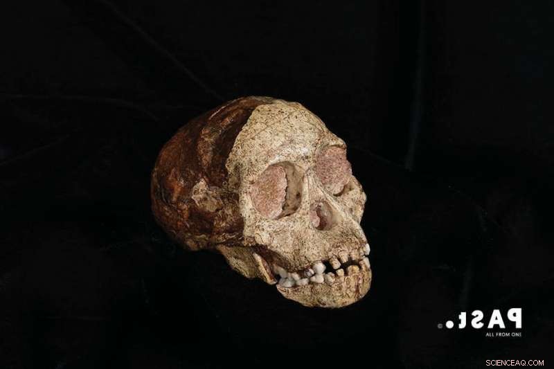 Palaeontology: Unlocking Africa’s Ancient Past to Inform Today’s World