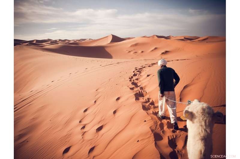 Research Shows Humans Delayed Sahara Desert Formation by 500 Years