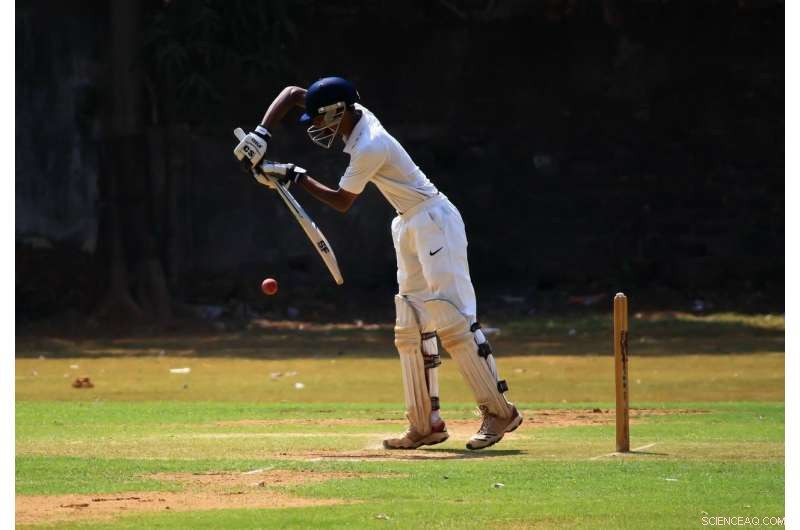 Study Reveals Significant Limitations in Test Cricket Batsman Rankings