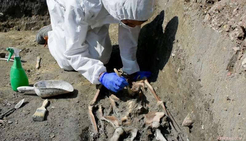 Eighth-Century Skeleton Unearthed on Venice s Torcello Island