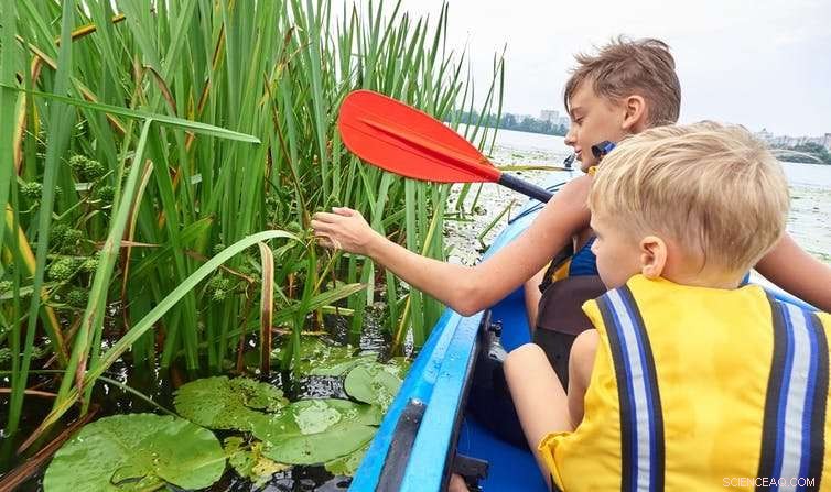 Why Physical Education Matters: The Key to Lifelong Health & Academic Success