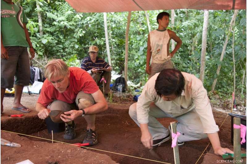 Archaeologists Unearth 3,500-Year-Old Nutmeg Use: Earliest Evidence of Nutmeg as a Food Ingredient