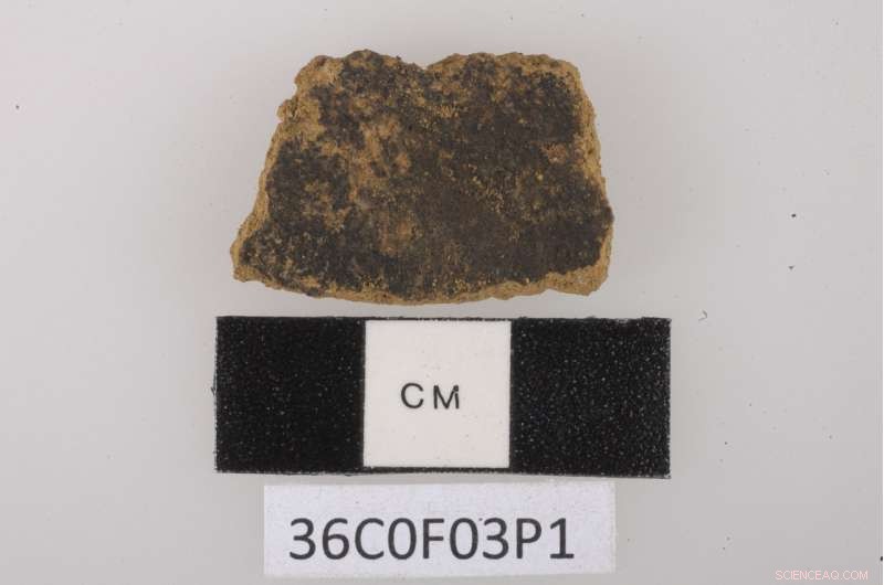 Archaeologists Unearth 3,500-Year-Old Nutmeg Use: Earliest Evidence of Nutmeg as a Food Ingredient