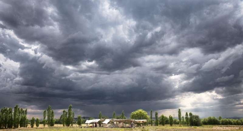 Revealing Early Farmers’ Cuisine: Protein Analysis of Çatalhöyük Pottery