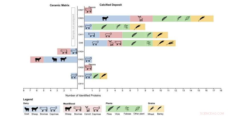 Revealing Early Farmers’ Cuisine: Protein Analysis of Çatalhöyük Pottery