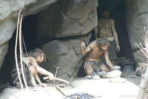 Neanderthal Healthcare: Evidence of Advanced Practices for Survival