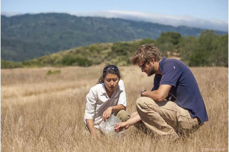 Gender Diversity Boosts Research Innovation: Insights from Team Lyseia and Historian Schiebinger