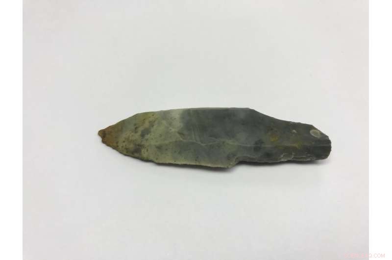 Salt: The Key Catalyst in Ancient Maya Society