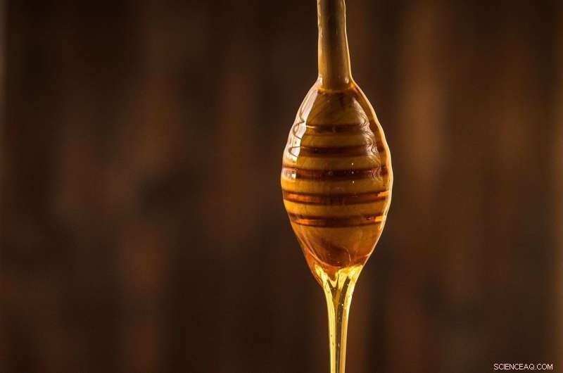 Australia Faces Honey Adulteration Crisis: 1 in 5 Samples Contain Sugar Additives