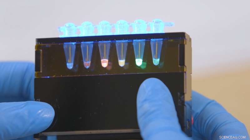 Innovative BioBits Kits: Hands‑On, Affordable Science Tools for All Students & Teachers