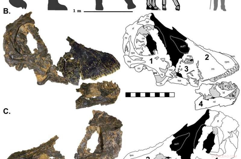 Dietary Habits of Juvenile Dinosaurs: What They Ate While Their Parents Were Away