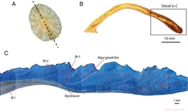 Using Archaeology to Forecast Future Climate: Lessons from the Past