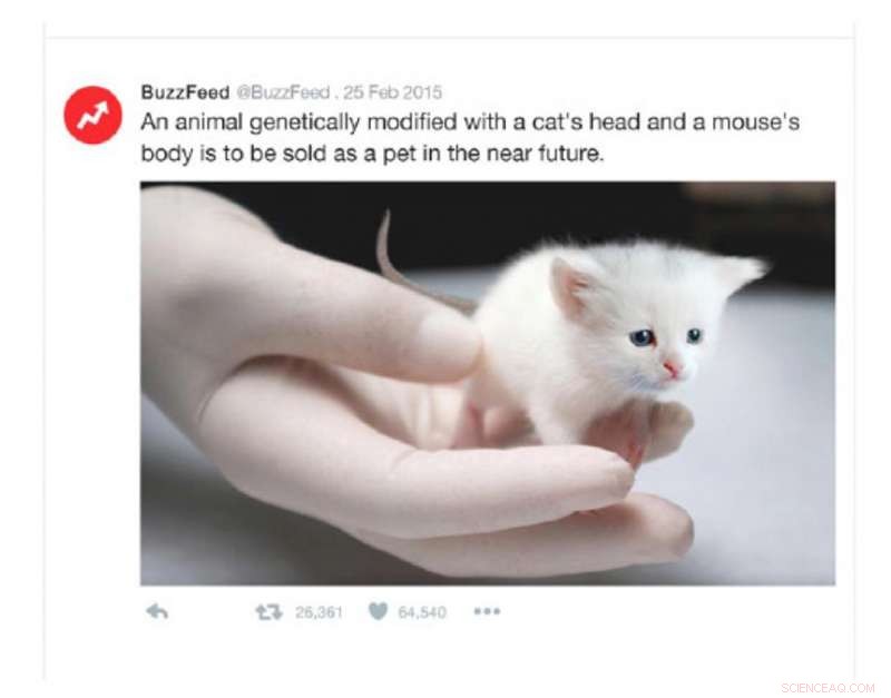 Study Reveals Consumers Cautious About Photo Manipulation