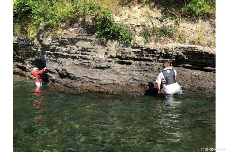 UC Riverside Researchers Discover 100‑Million‑Year‑Old Animal Fossils, Preceding the Cambrian Explosion