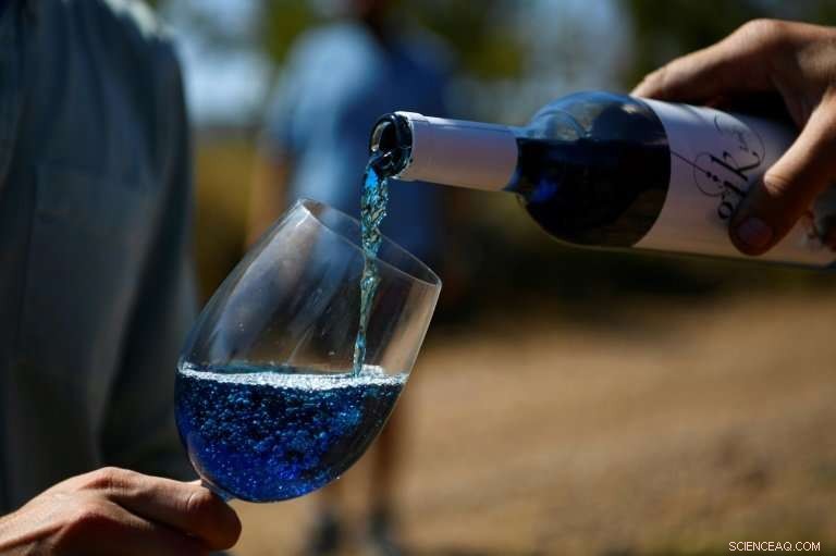 Blue Wine Reinvented: Spain’s Innovative Startup Transforms Tea-Infused Vintages