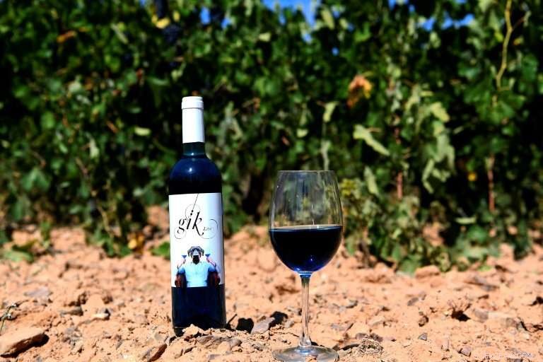 Blue Wine Reinvented: Spain’s Innovative Startup Transforms Tea-Infused Vintages