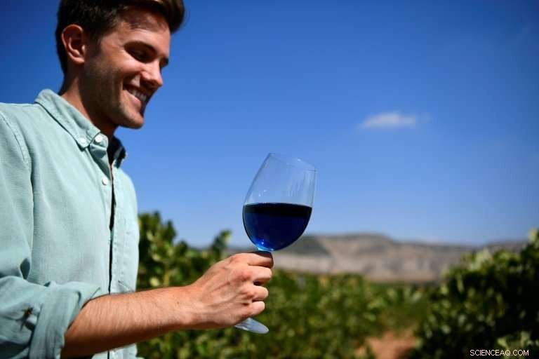 Blue Wine Reinvented: Spain’s Innovative Startup Transforms Tea-Infused Vintages