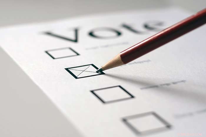 Study Reveals Voters Don’t Always Follow Party Lines on Every Issue