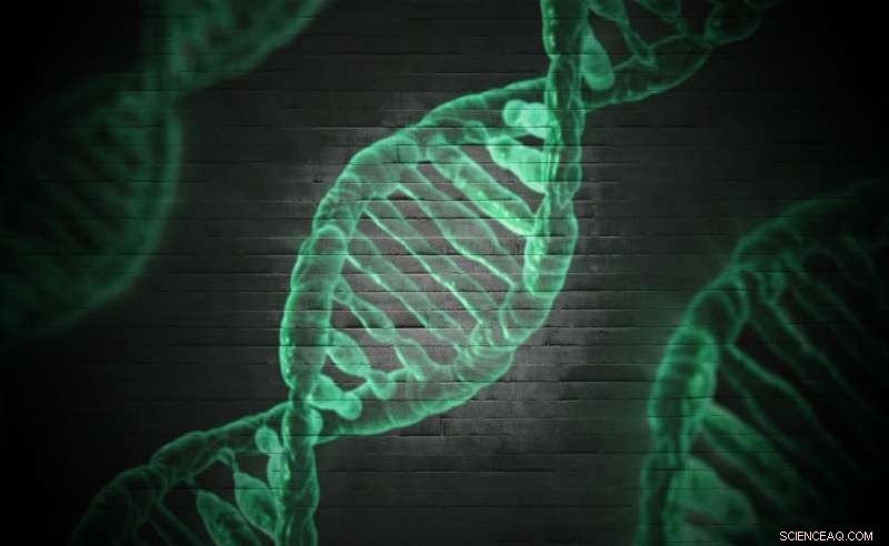 Genetics Influences University Choice and Academic Success, New Study Finds