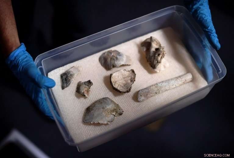 Brazil Retrieves 12,000‑Year‑Old Luzia Fossil Fragments from Burnt National Museum