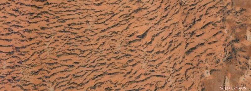 Using Mathematics to Combat Desertification: Insights from Ph.D. Research