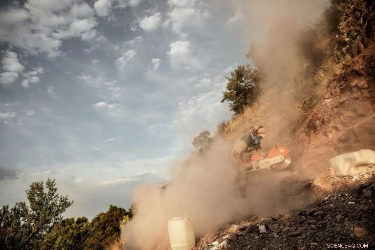 New Dinosaur Species Discovered in South Africa’s Remote Farm