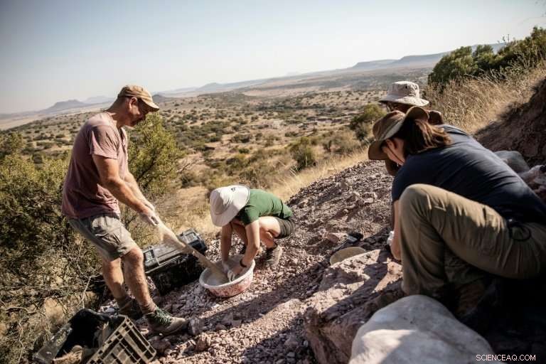 New Dinosaur Species Discovered in South Africa’s Remote Farm