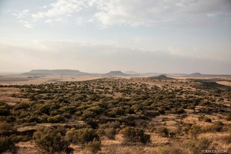 New Dinosaur Species Discovered in South Africa’s Remote Farm